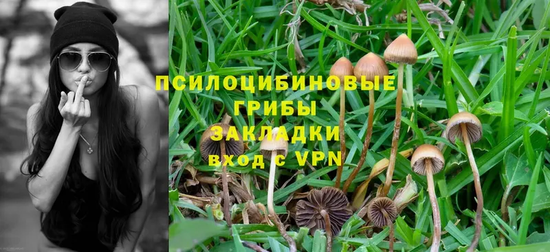 Галлюциногенные грибы MAGIC MUSHROOMS  Дубна 